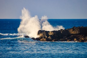 Paradise Cove   Oahu Hawaii 08192